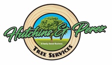 Logo for H and P Tree Service, LLC