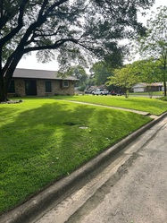 Davis Lawn and Property Management logo