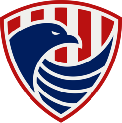 Naples Security, LLC logo