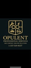 Avatar for Opulent Professional Services LLC
