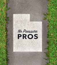Avatar for No Pressure Pros