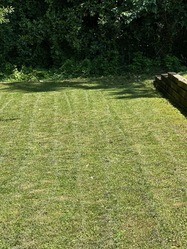 Anderson's Lawn Care Services logo