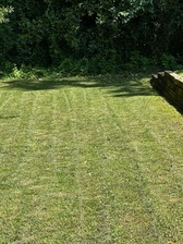 Avatar for Anderson's Lawn Care Services