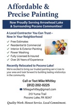 Avatar for Affordable and precise painting