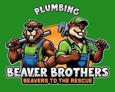 Avatar for Beaver Brothers Plumbing, Inc.