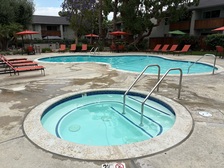 Avatar for Duck Duck Pools