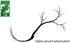 Avatar for Higher Ground Arboriculture