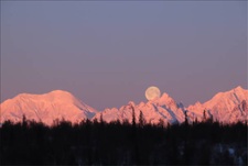 Avatar for Morning Alpenglow LLC