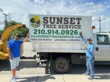 Avatar for Sunset Tree Services