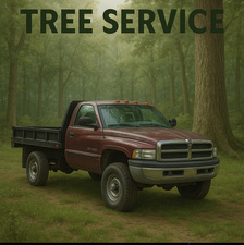 Avatar for Advanced Tree Services