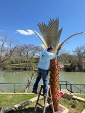 Avatar for MGC Landscaping & Irrigation