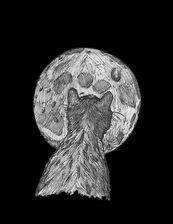 Avatar for Blu-Moon Property Remediation LLC