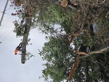 Avatar for FRAMING EMMANUEL