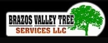 Avatar for Brazos Valley Tree Services L.L.C.