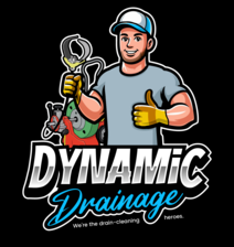 Avatar for Dynamic Drainage