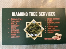 Avatar for Diamond tree service