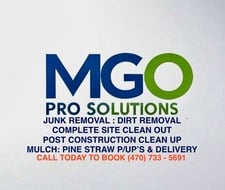 Avatar for MGO Pro Solutions