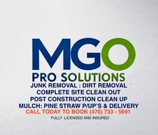 Avatar for MGO Pro Solutions