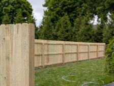 Avatar for 1001 Fences