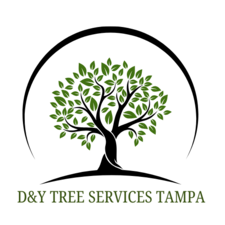 Avatar for D&Y TREE SERVICES TAMPA LLC