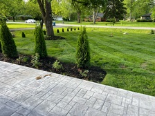 Avatar for Franks Landscaping