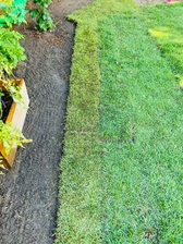 Avatar for Total Yard Solutions