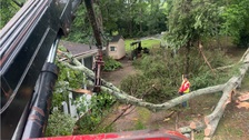 Avatar for S.H Tree Service