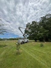 Avatar for W & C Tree and Land Services
