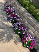Avatar for Vidal Landscaping - Unlicensed Contractor