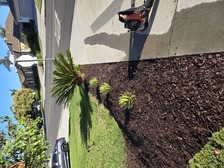 Avatar for Vidal Landscaping - Unlicensed Contractor