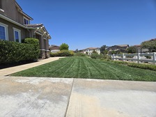 Avatar for Vidal Landscaping - Unlicensed Contractor