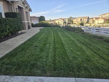 Avatar for Vidal Landscaping