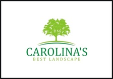 Avatar for Carolina Landscape & Designs