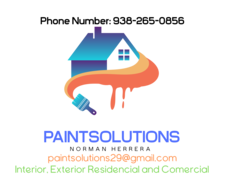 Avatar for Paint Solutions