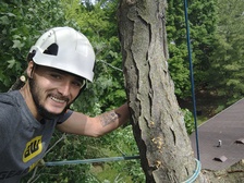 Avatar for C&C Tree Service