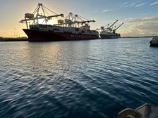 Avatar for General Repairs