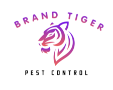Avatar for Brand Tiger Pest Control