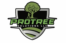 Avatar for Protree solutions LLC