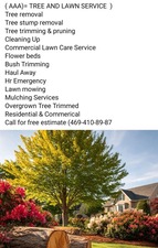 Avatar for AAA Tree and Lawn Service