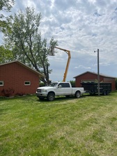 Avatar for Kaden's Tree Service LLC