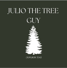 Avatar for Julio The Tree Guy