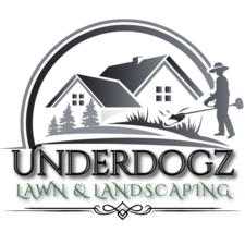 Avatar for Underdogz Lawn and Landscaping