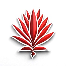 Avatar for RED AGAVE LANDSCAPE BUILD & DESIGN LLC
