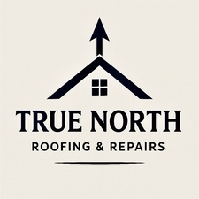 Avatar for True North Developments