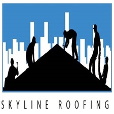 Avatar for SkyLine Roofing of Georgia, LLC