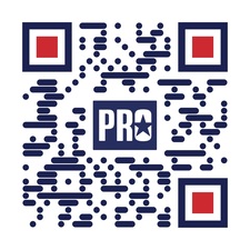 Avatar for Professional Brick & Stone Works