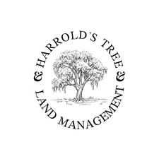 Avatar for Harrolds Tree and Land Management