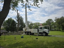 Avatar for Wulf Tree Services