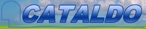 Logo for CATALDO LANDSCAPE INCORPORATED
