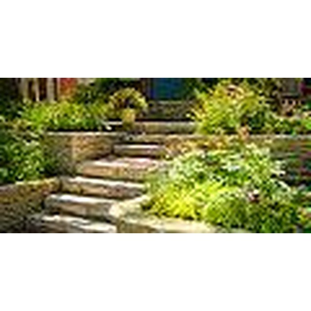 PRECISION LANDSCAPES logo